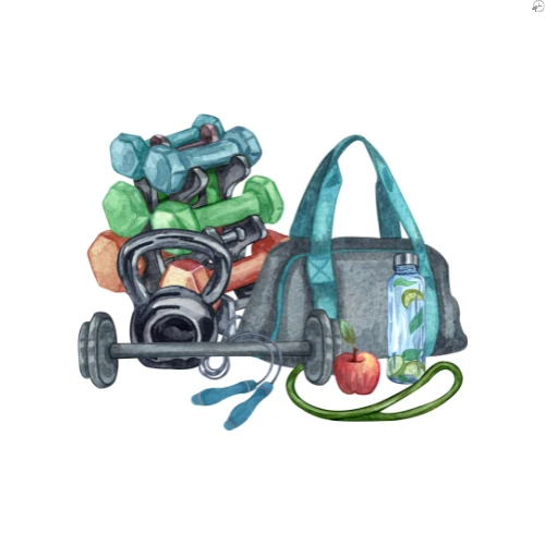 Fitness & Gym Equipment